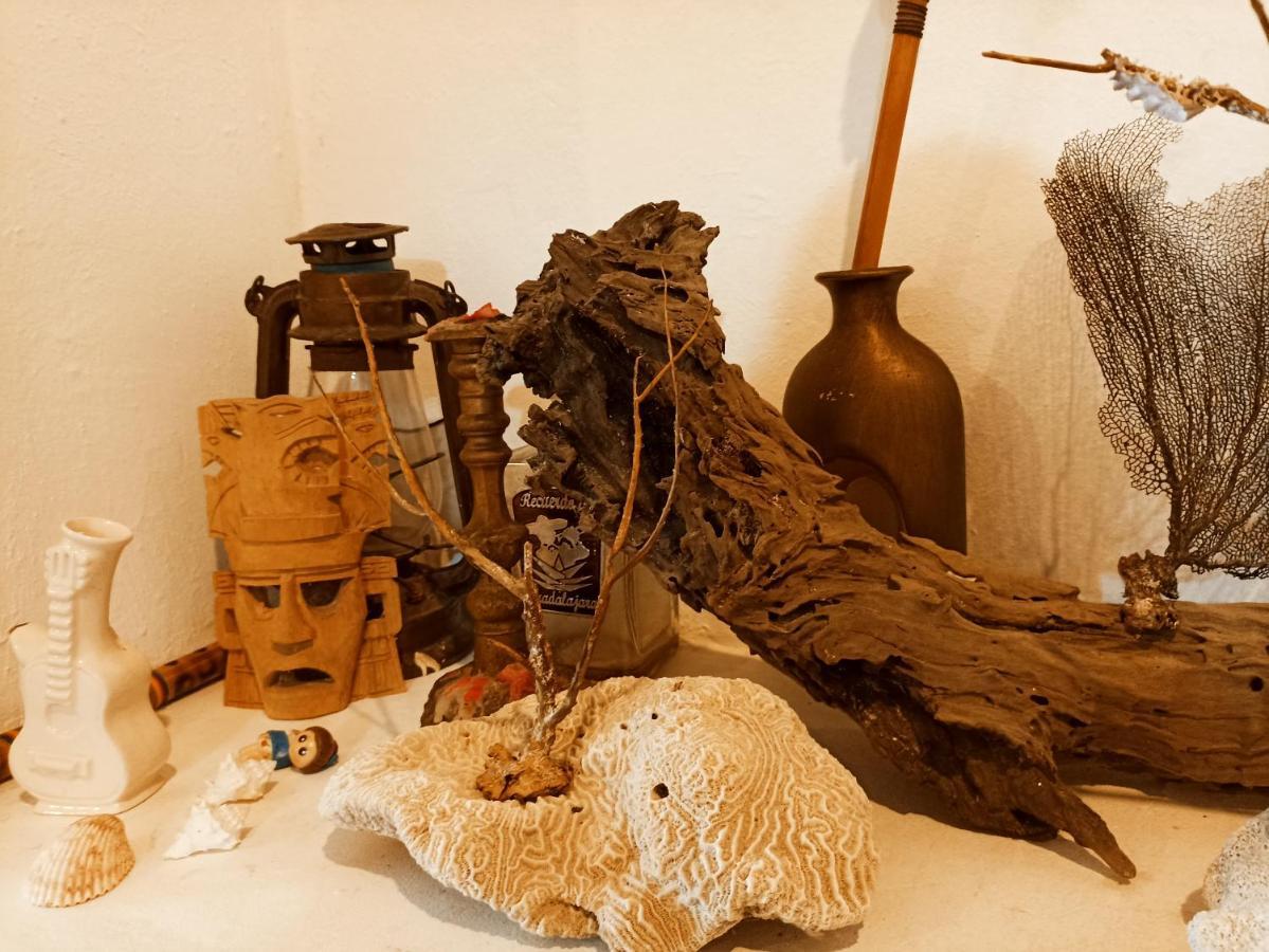 Casa De Los Pajaros - B&B Valladolid  Eksteriør bilde