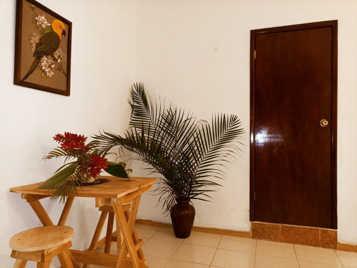 Casa De Los Pajaros - B&B Valladolid  Eksteriør bilde