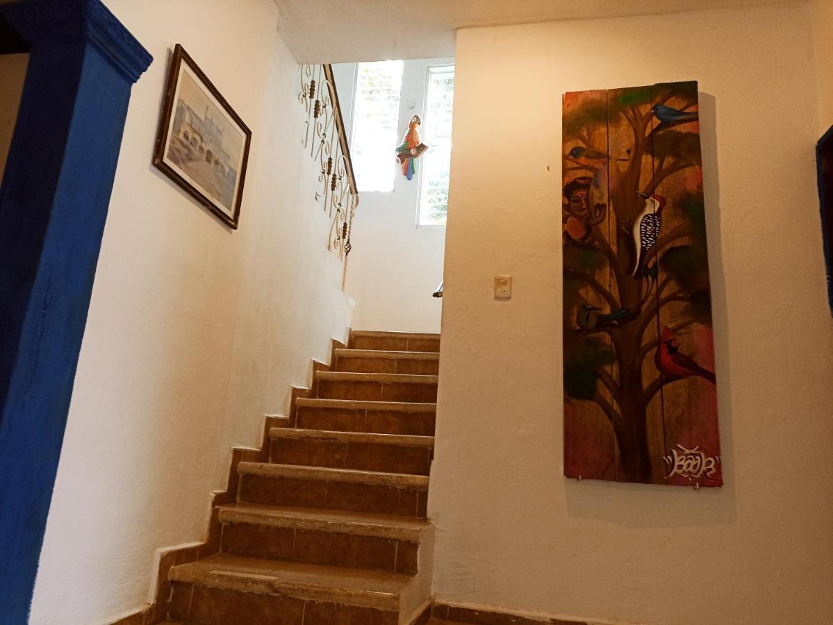 Casa De Los Pajaros - B&B Valladolid  Eksteriør bilde