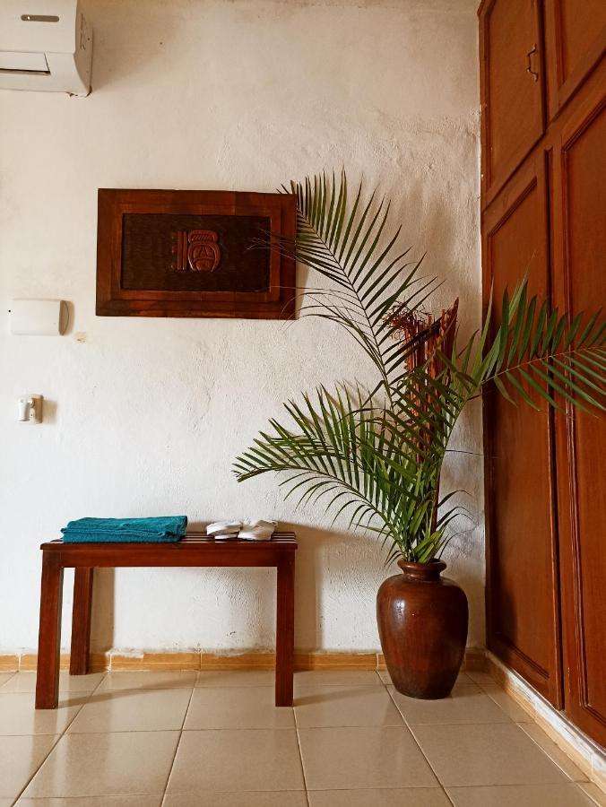 Casa De Los Pajaros - B&B Valladolid  Eksteriør bilde