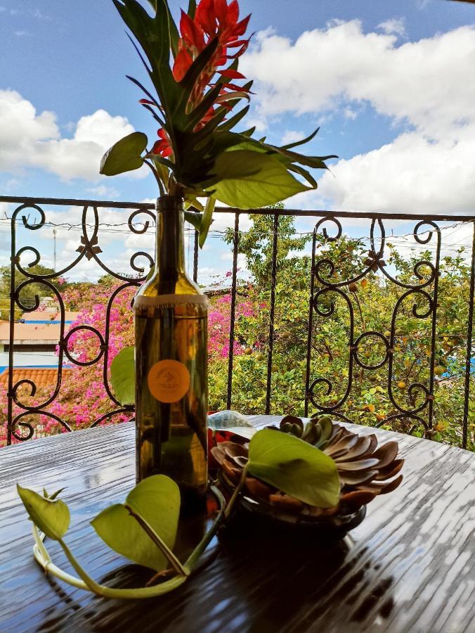 Casa De Los Pajaros - B&B Valladolid  Eksteriør bilde