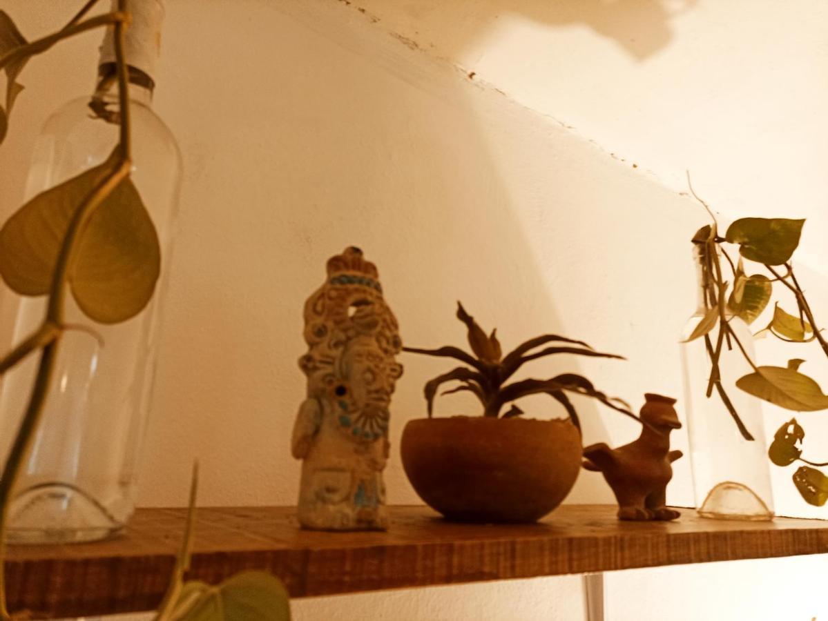 Casa De Los Pajaros - B&B Valladolid  Eksteriør bilde