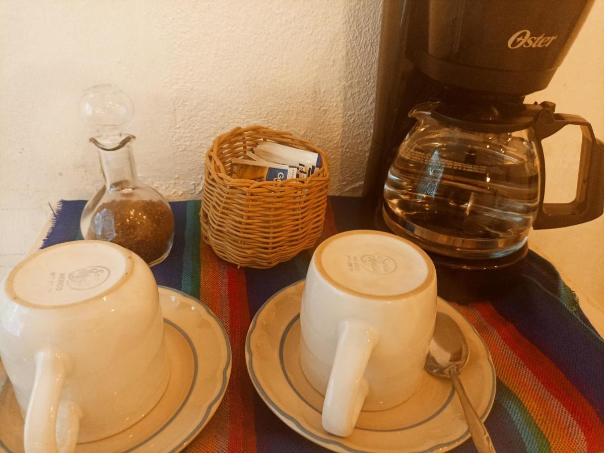 Casa De Los Pajaros - B&B Valladolid  Eksteriør bilde