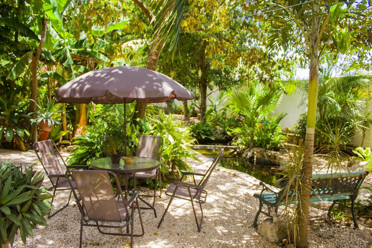 Casa De Los Pajaros - B&B Valladolid  Eksteriør bilde