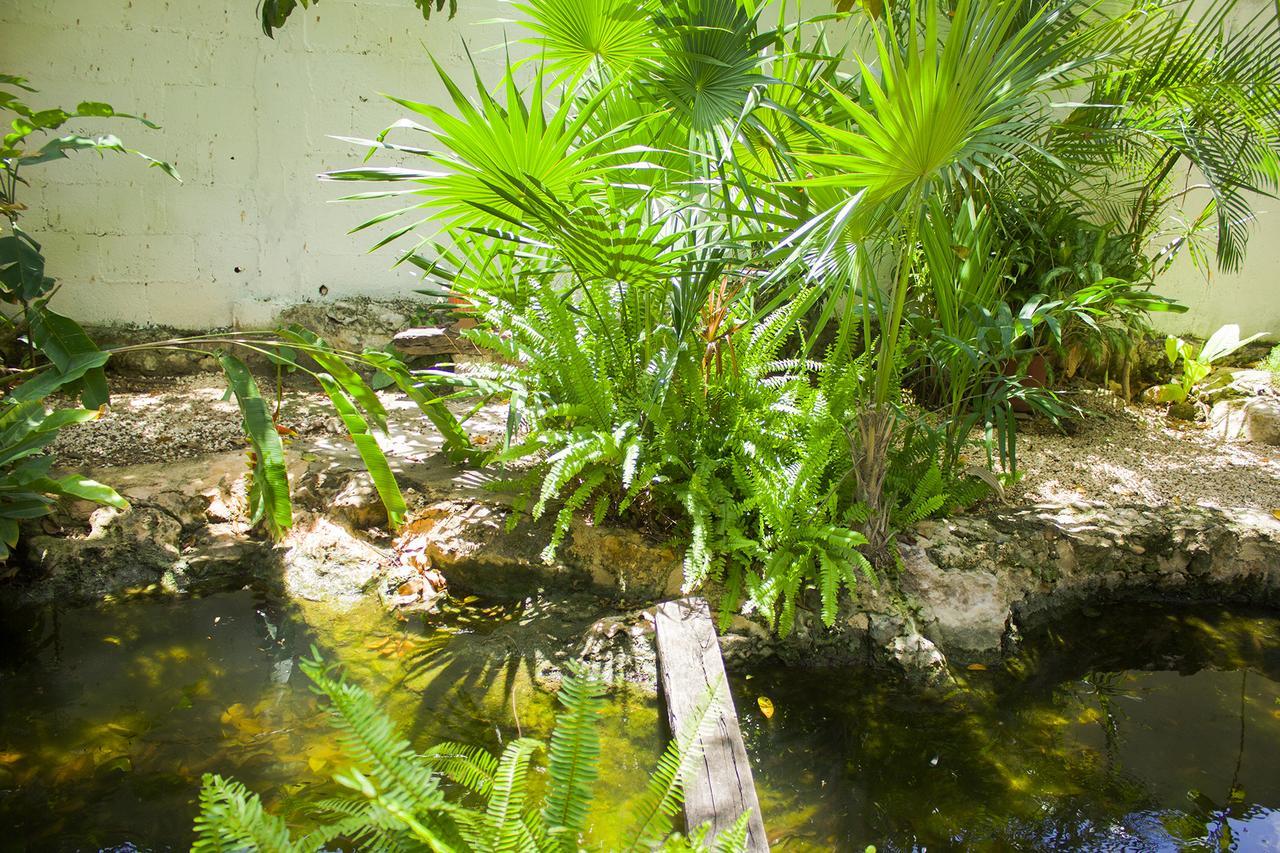 Casa De Los Pajaros - B&B Valladolid  Eksteriør bilde