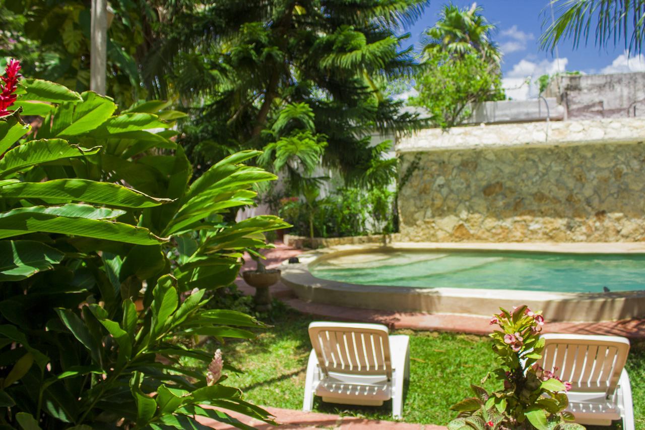 Casa De Los Pajaros - B&B Valladolid  Eksteriør bilde