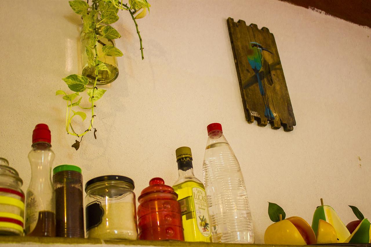 Casa De Los Pajaros - B&B Valladolid  Eksteriør bilde