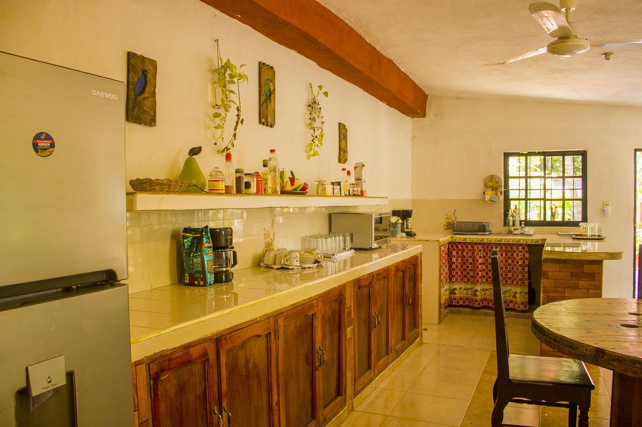 Casa De Los Pajaros - B&B Valladolid  Eksteriør bilde